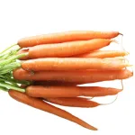 ecogene-carrot-alfag8