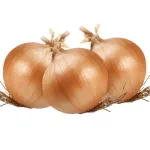 ecogene-onion-lightred