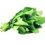 ecogene-spinach-wondergreen