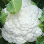 ecogene-cauliflower-whitebeauty
