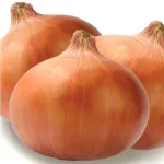 ecogene-onion-fursungi