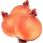 ecogene-onion-gauranselection