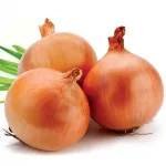 ecogene-onion-lightredgauran