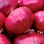 ecogene-onion-redqueen