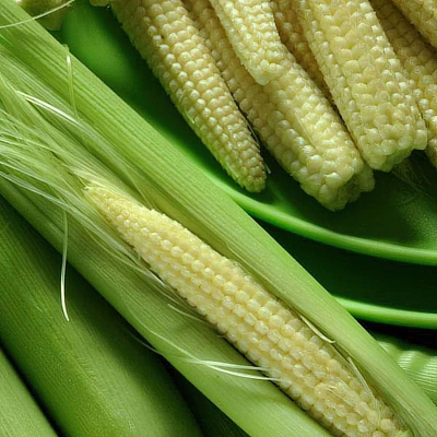 ecogene-babycorn-ecobaby
