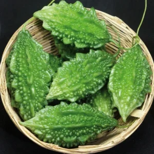 Bitter Gourd - Uchwa Bolder - Image 1
