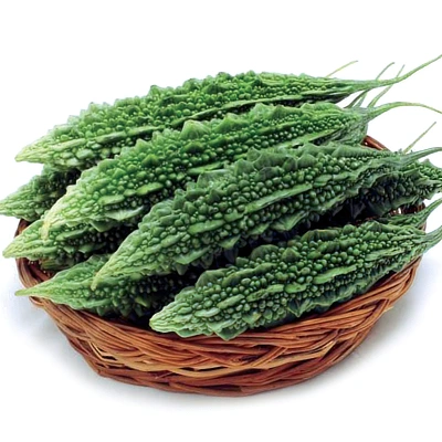 ecogene-bittergourd-wb71