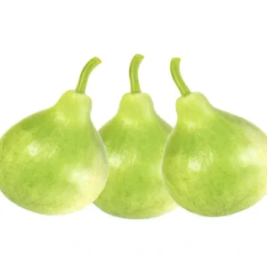 Bottle Gourd – Komal