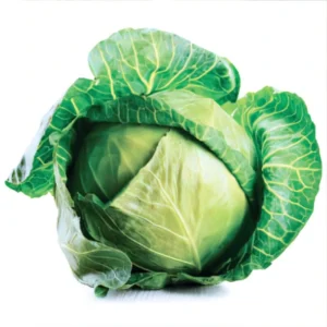 Cabbage - Glory