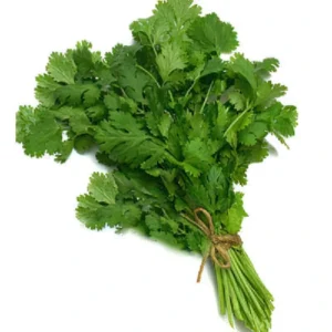 Coriander - Sweta