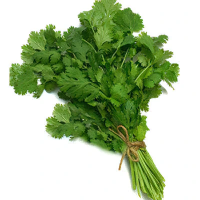 ecogene-coriander-sweta