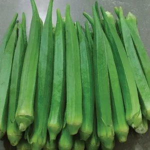 Okra-RJ-45