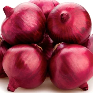 Onion - Red King
