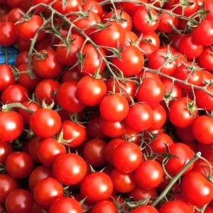 Tomato - Eco Cherry