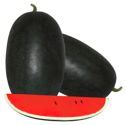 ecogene-watermelon-lb55